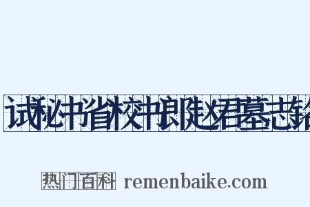 试秘书省校书郎赵君墓志铭是什么意思的图片